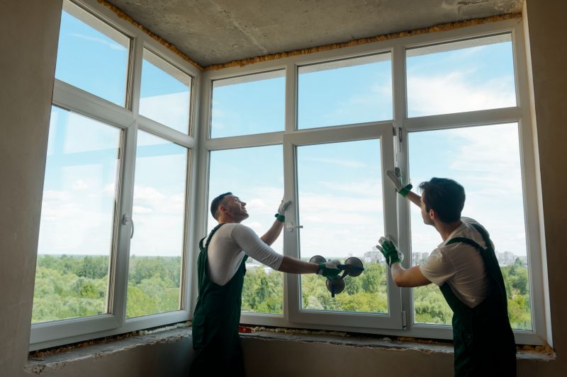 Professional Installing Windows
